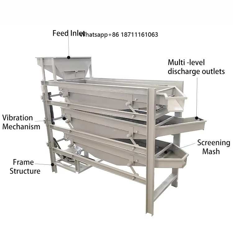 Dried Fruit - Máquina Clasificadora Vibratoria para Frutas Secas,