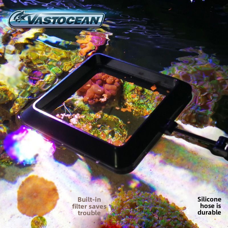 VASTOCEAN Anillo de Alimentaci - Seaweed Snack reseña y precio