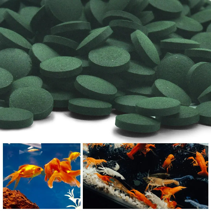 Tabletas de espirulina de alta - Seaweed Snack reseña y precio